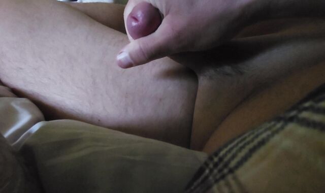 Close-Up Point Of Look Of A lusty Mushroom Tipped trunk Fragile To Stiff With Precum