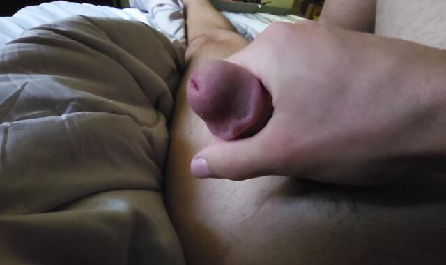 Close-Up Point Of Look Of A lusty Mushroom Tipped trunk Fragile To Stiff With Precum
