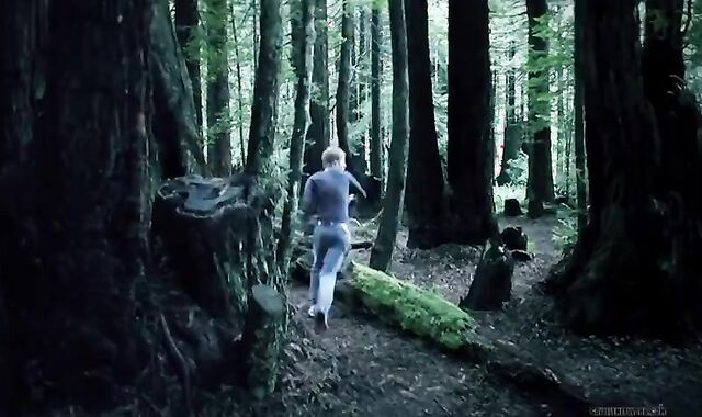 Vampire Hunting In The Woods