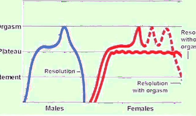 The Ultimate Guide To Multiple Ejaculations In males