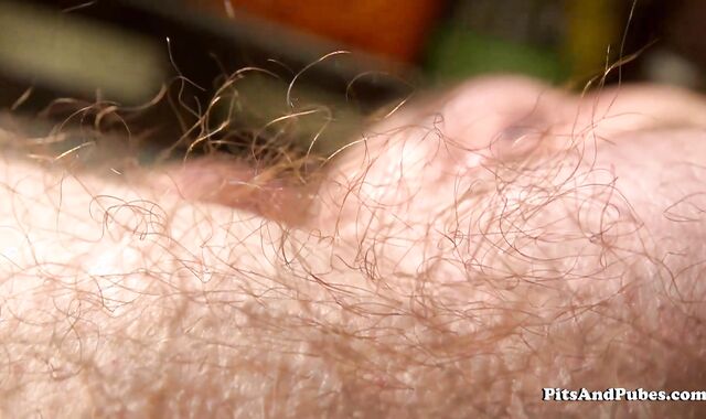 PitsAndPubes: Shaven wolf Trent Marx receives catapulting stiff