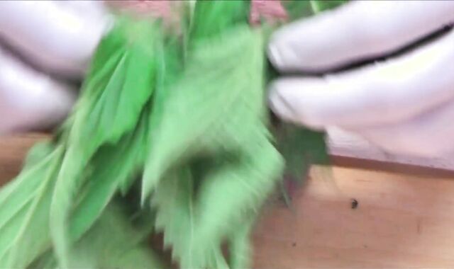 Old deutsch first-ever-timer has a lust for extreme getting off