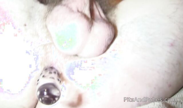 PitsAndPubes: Varg Leitwolf nuzzling vid