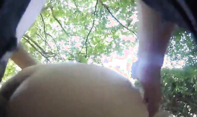 Cruising Dads In The Forest