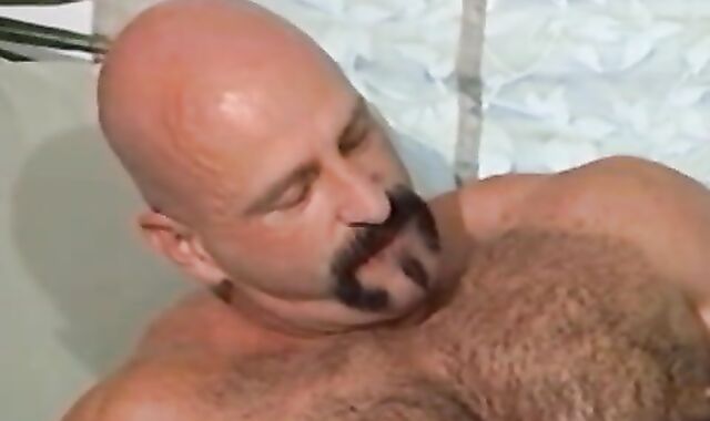 Father's Reform College Counterpart.