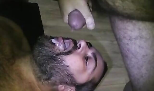 Hairy Man trio-some. Trio exhilarated Grizzlies Having sheer pleasure In gonzo Threesomne