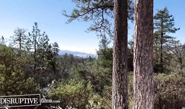 Bound Up Twunk Lets Go and Submits To Super-Naughty Fellow - Adam Ramzi, Troye Jacobs - DisruptiveFilms