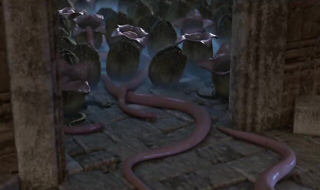 The Temple (2019) - Collector's Edition