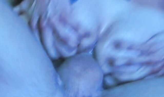 flick 002 - queer PORN!