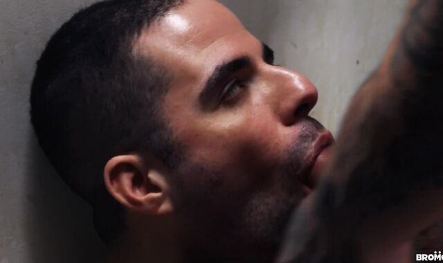 bare Lockup two - Shawn Assmore American Vignette