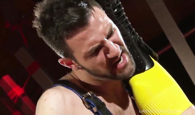 aggressive lad fuckers