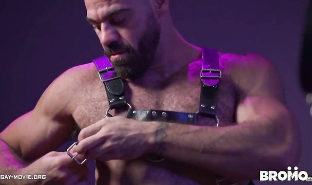 dog training on a leash