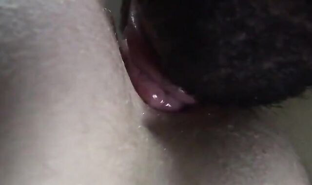 Hungry gullets & supah-mischievous man cabooses