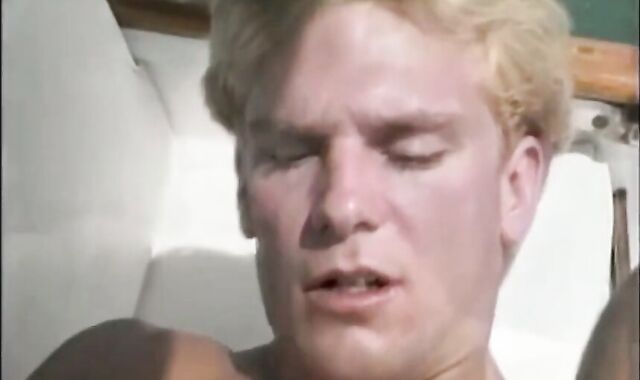 A Sight To A Exhilarate