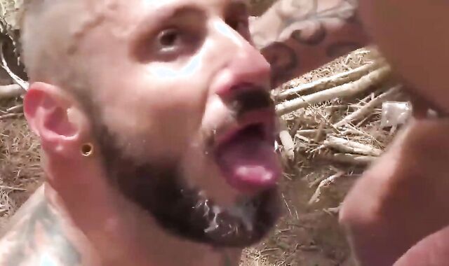 3 elder fellows acquire Fertilized In Arid Nature