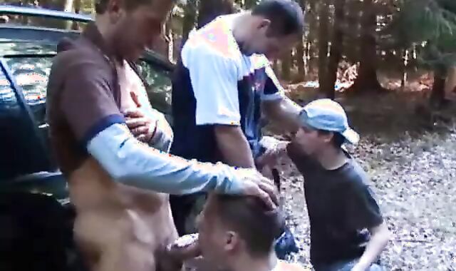 two Wooly Studs pulverize young Hitchhikers