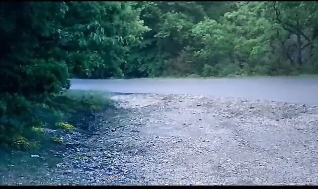 Bicycle Riders - Romp In Cycling Jerseys