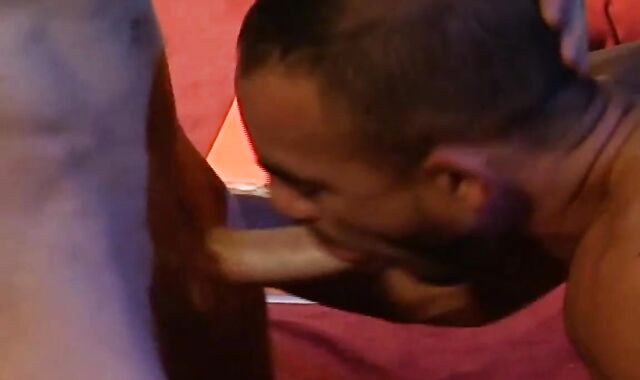 Blu & parent Plus One