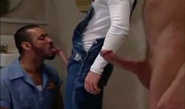 Toilet Drill-Festival