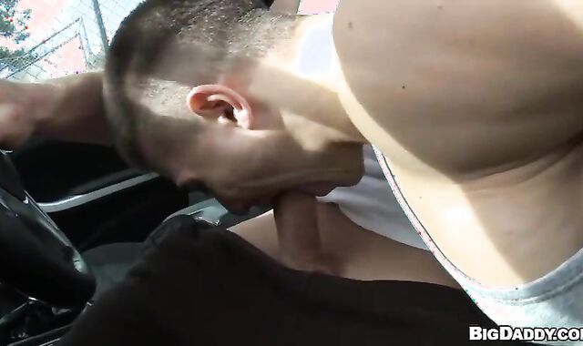 Public Van Smash-Out