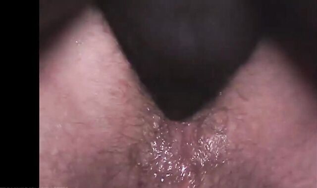 craving Vol trio Ian Jay pulverize