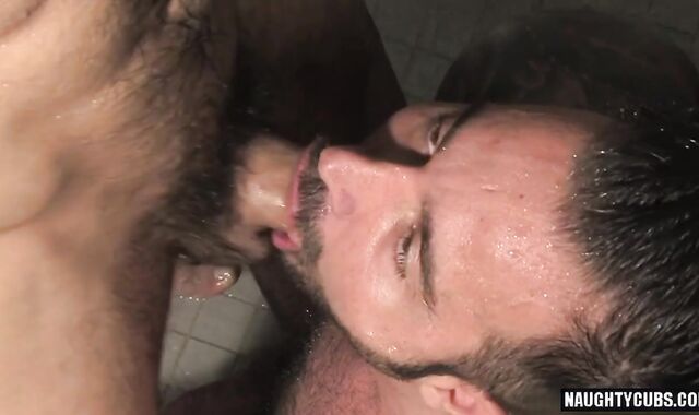 shaggy fag donk stab And nut nectar stream