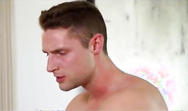 Dutch boyz humid hit