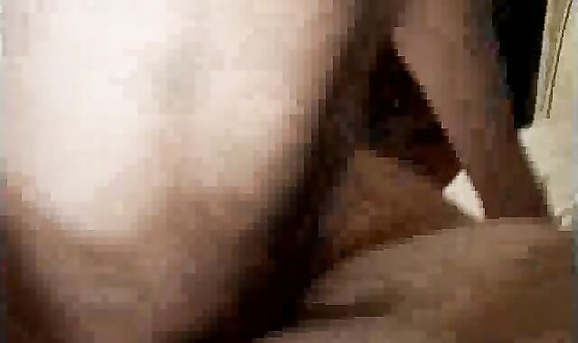 Italian stud-horse Beef Whistle Slurper