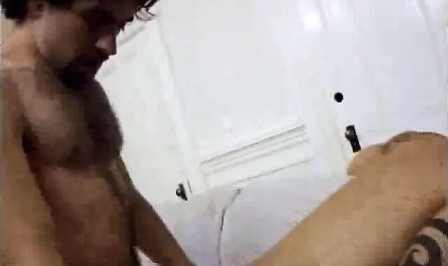 Italian stud-horse Beef Whistle Slurper