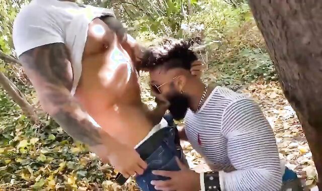 RFC HotPark Viktor Rom And hirsute Sam