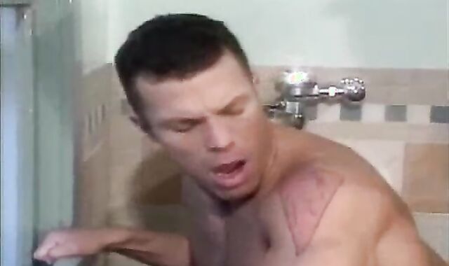 Toilet sheer pleasure