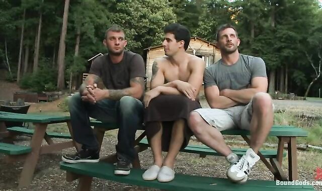 Cabin Tyler affixed In Woods