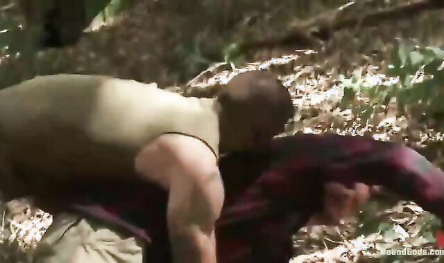 Cabin Tyler affixed In Woods