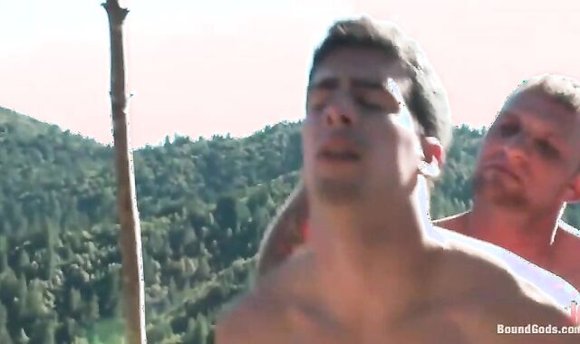 Cabin Tyler affixed In Woods