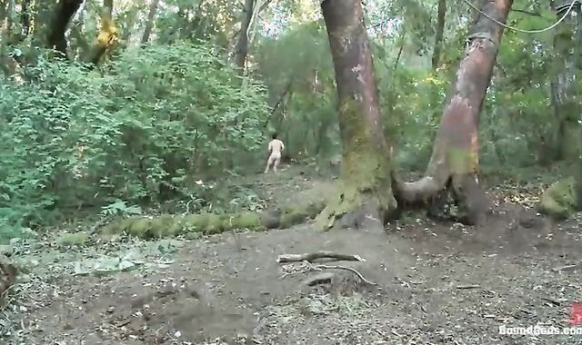 Cabin Tyler affixed In Woods