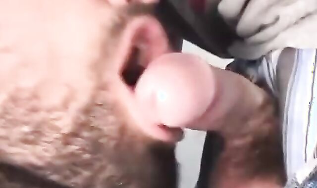 Bearded Homosexual Likes Giving fellate job To His Heterosexual ally.