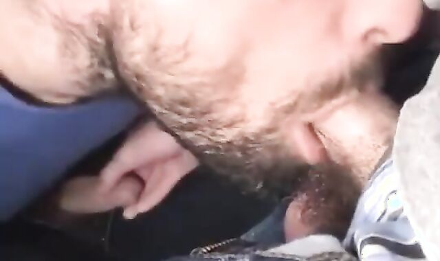 Bearded Homosexual Likes Giving fellate job To His Heterosexual ally.