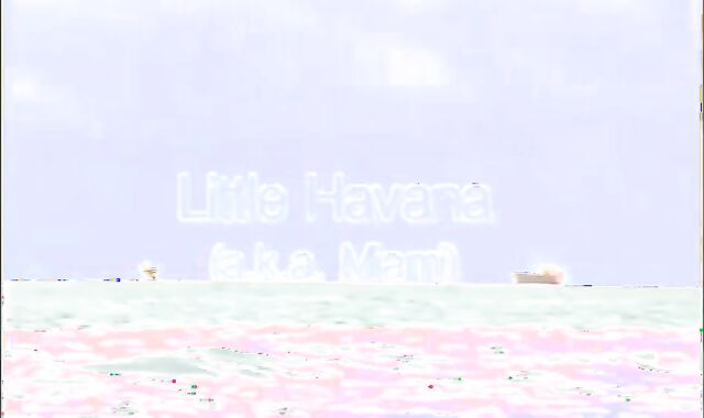 insane Times In Lil' Havana