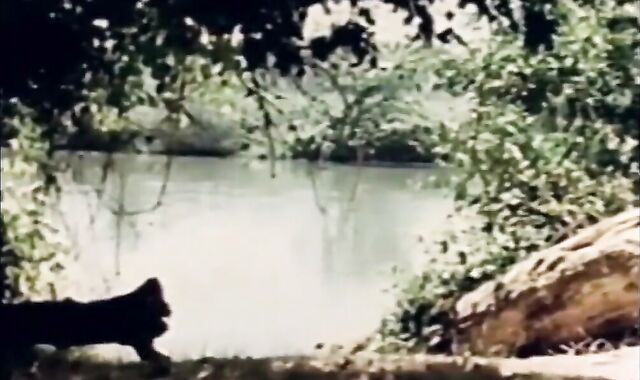 The Rivermen (1971) Part 5