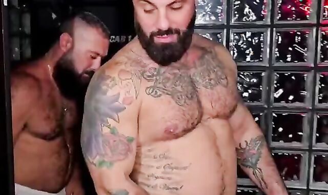 2 Burly Wolves humping In A Sauna! ??