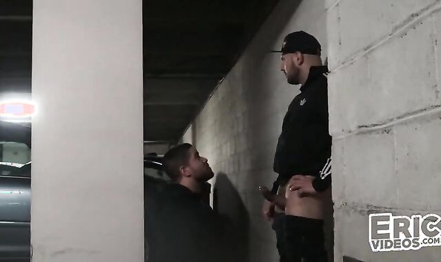 smashed In A Parking Slew Of