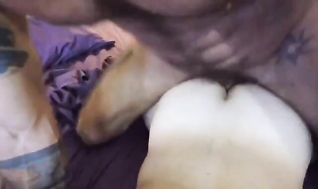 TREE dudes AND ONE DESTINY,pummel WILDLY