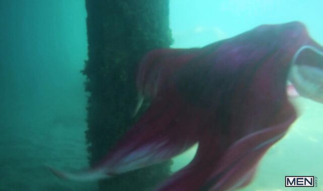 DrillMyHole: Rigid plunging with Paul Canon & Colby Tucker