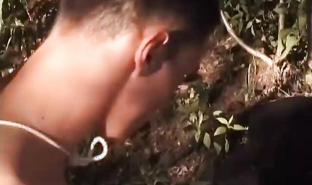 Down On The Ranch four