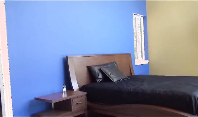 impure And Suspended stud-horses plough bare