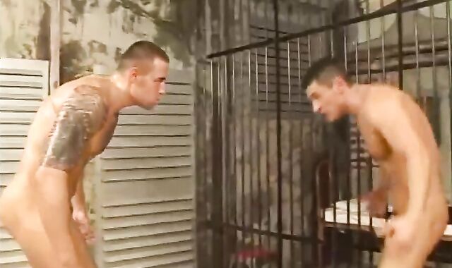 Chris Hacker V Jose Ganetti