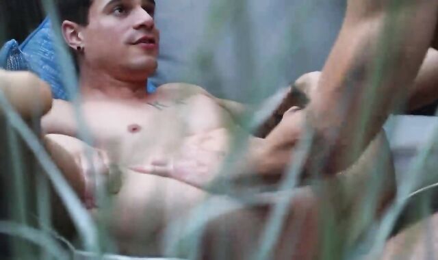 CB - boyz Of Summer four