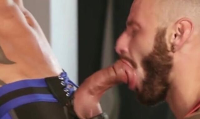 Antonio Marvel And Aymeric Deville (FM)