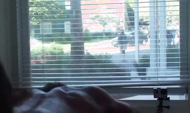 spunk Doggs Of The shaft testicle tonic Seas - Episode five