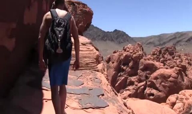 currency Takes Devon S Geyser